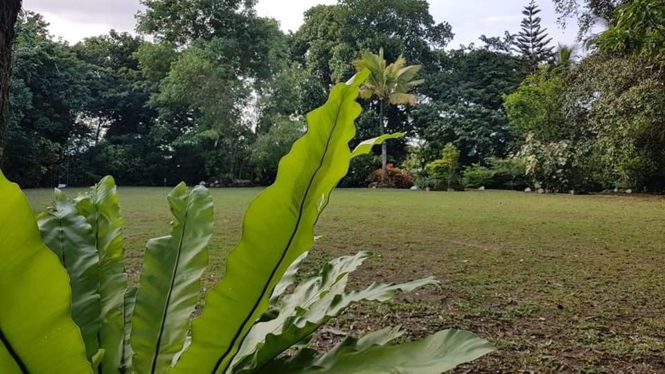 Galkanda Walawwa Kandy Esterno foto