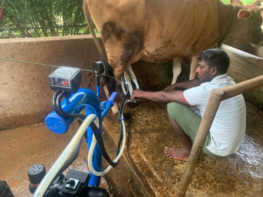 Galkanda Walawwa Kandy Esterno foto