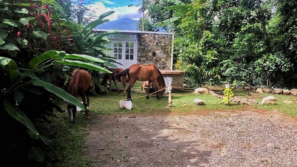 Galkanda Walawwa Kandy Esterno foto
