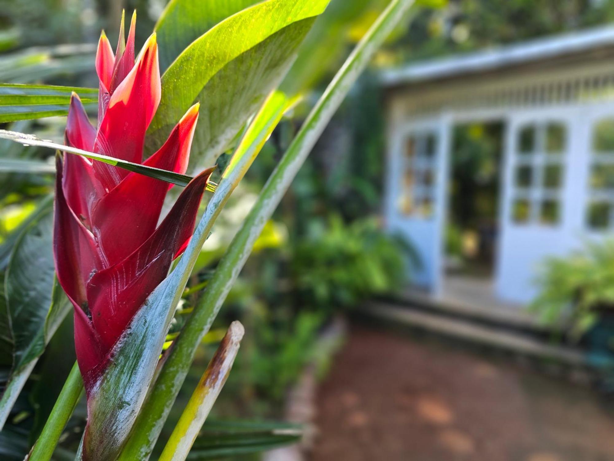 Galkanda Walawwa Kandy Esterno foto