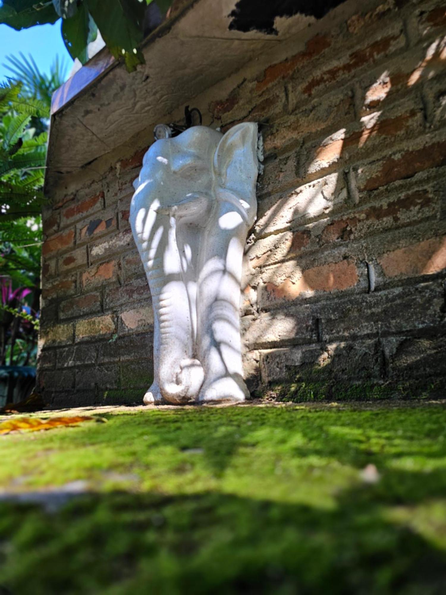 Galkanda Walawwa Kandy Esterno foto