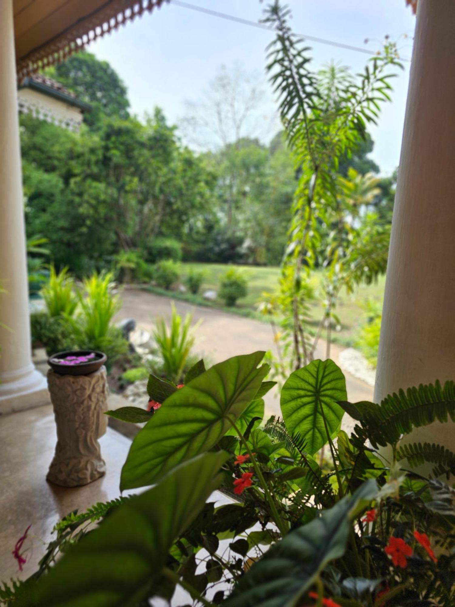 Galkanda Walawwa Kandy Esterno foto